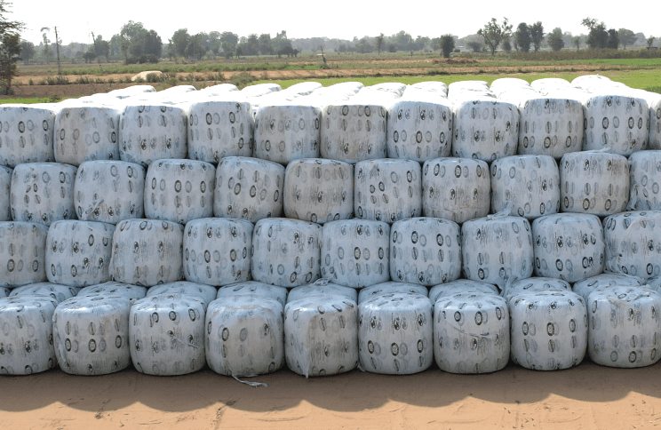 100 KG Silage Bale