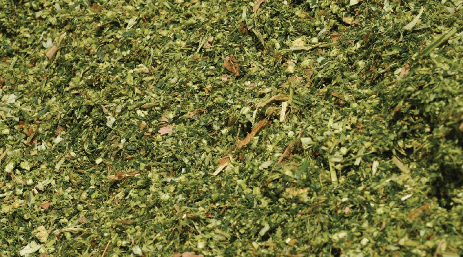 Understanding Cattle Nutrition