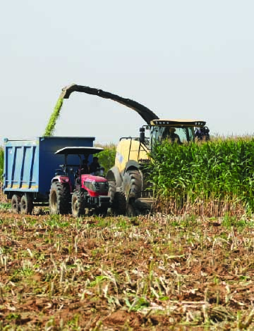 RIGHT HARVEST